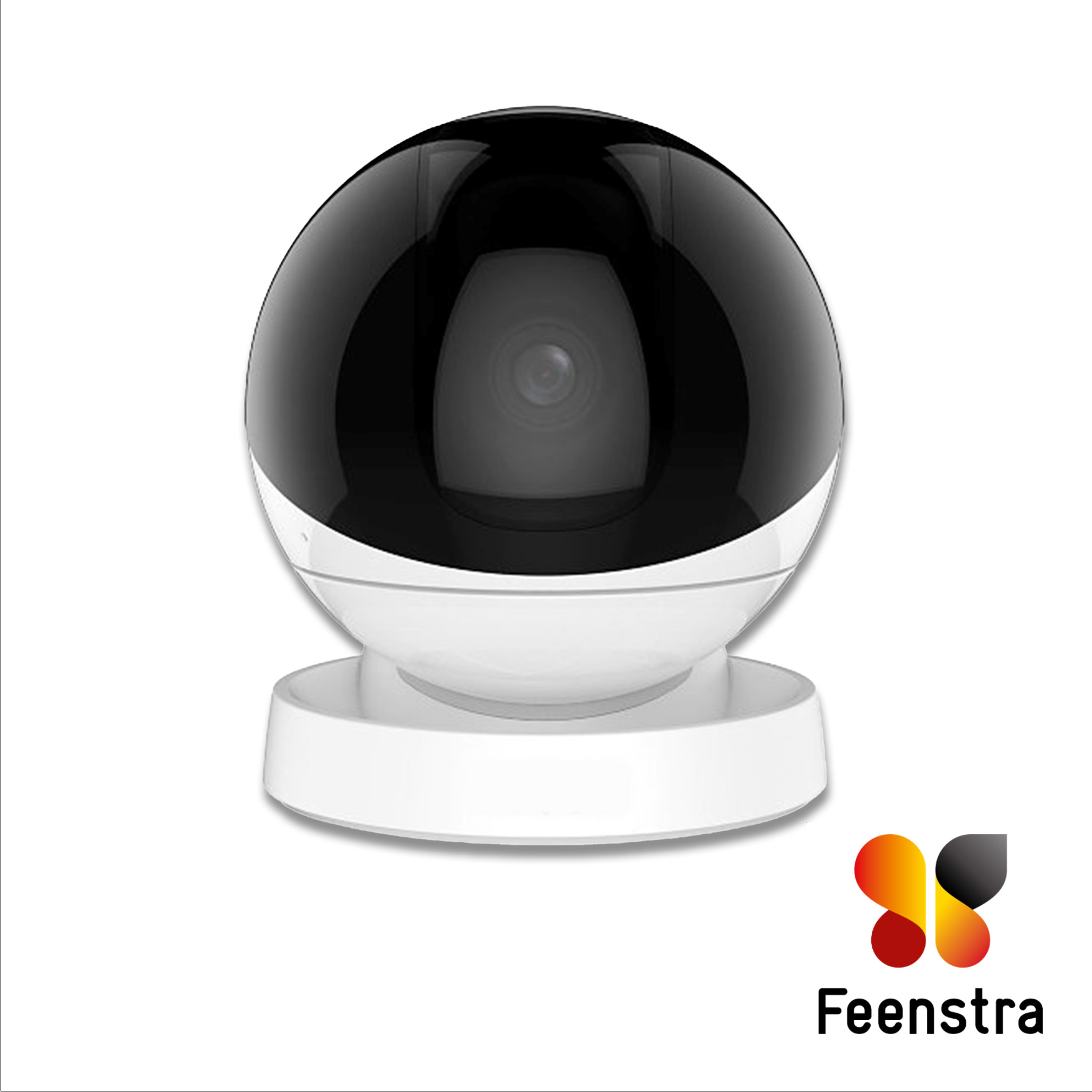 Feenstra PT Camera Front logo Feenstra PT Camera Front logo